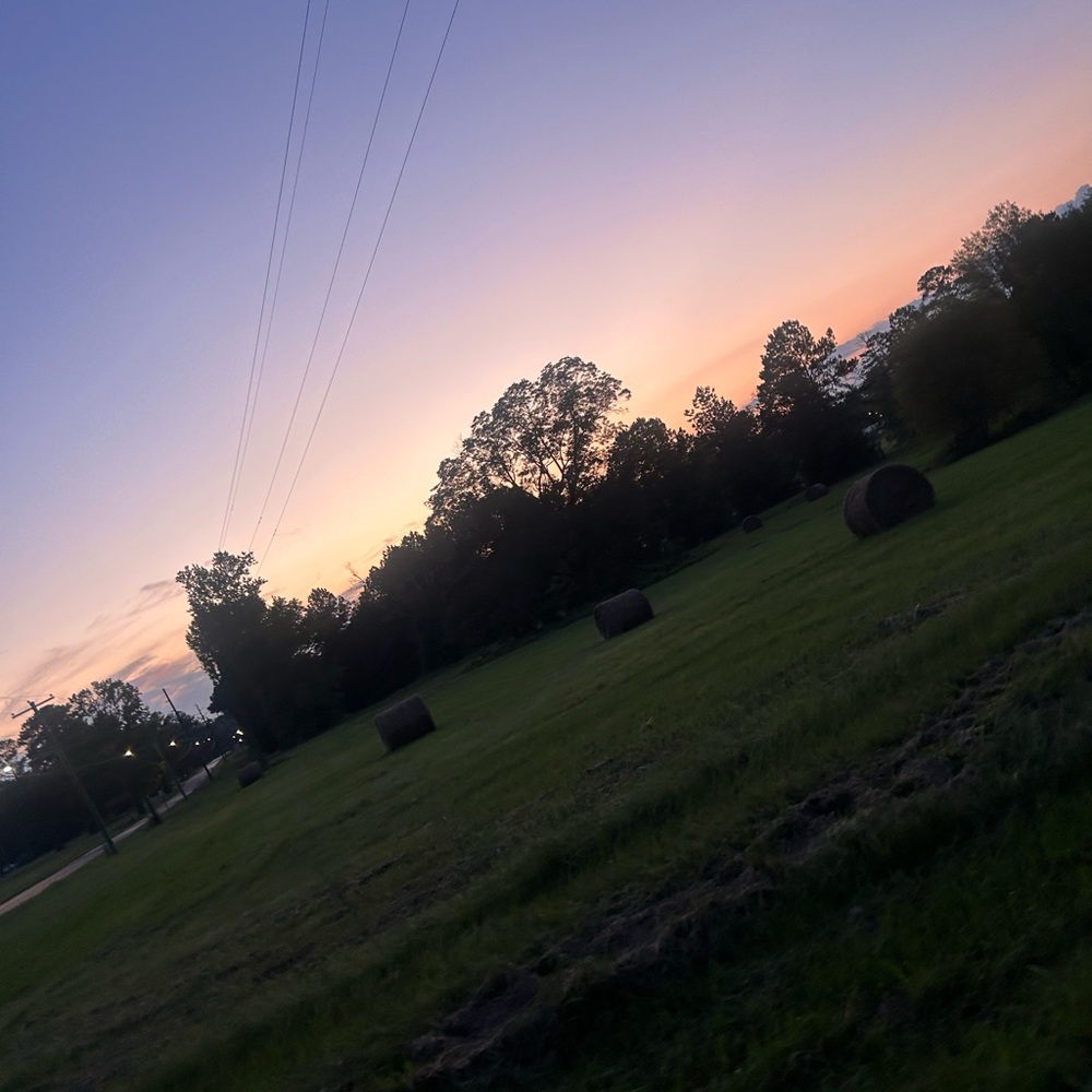 𝙹𝚊𝚗𝚗𝚊𝚑 𝙿𝚛𝚊𝚝𝚑𝚎𝚛 🤍 - Picture 3 of 3